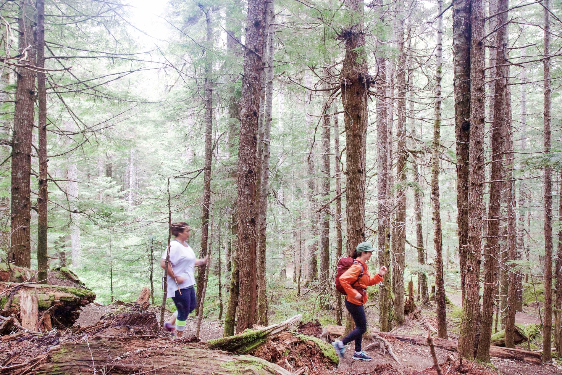 cat smiley boot camp