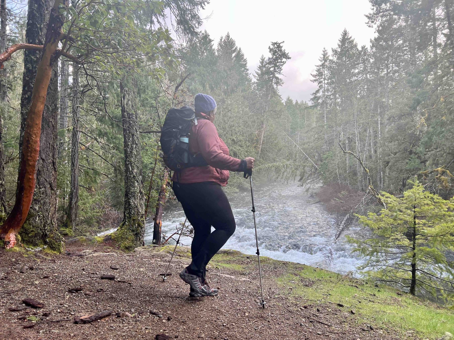 cat smiley boot camp