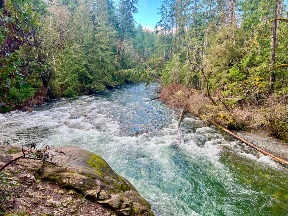 qualicum hiking tours