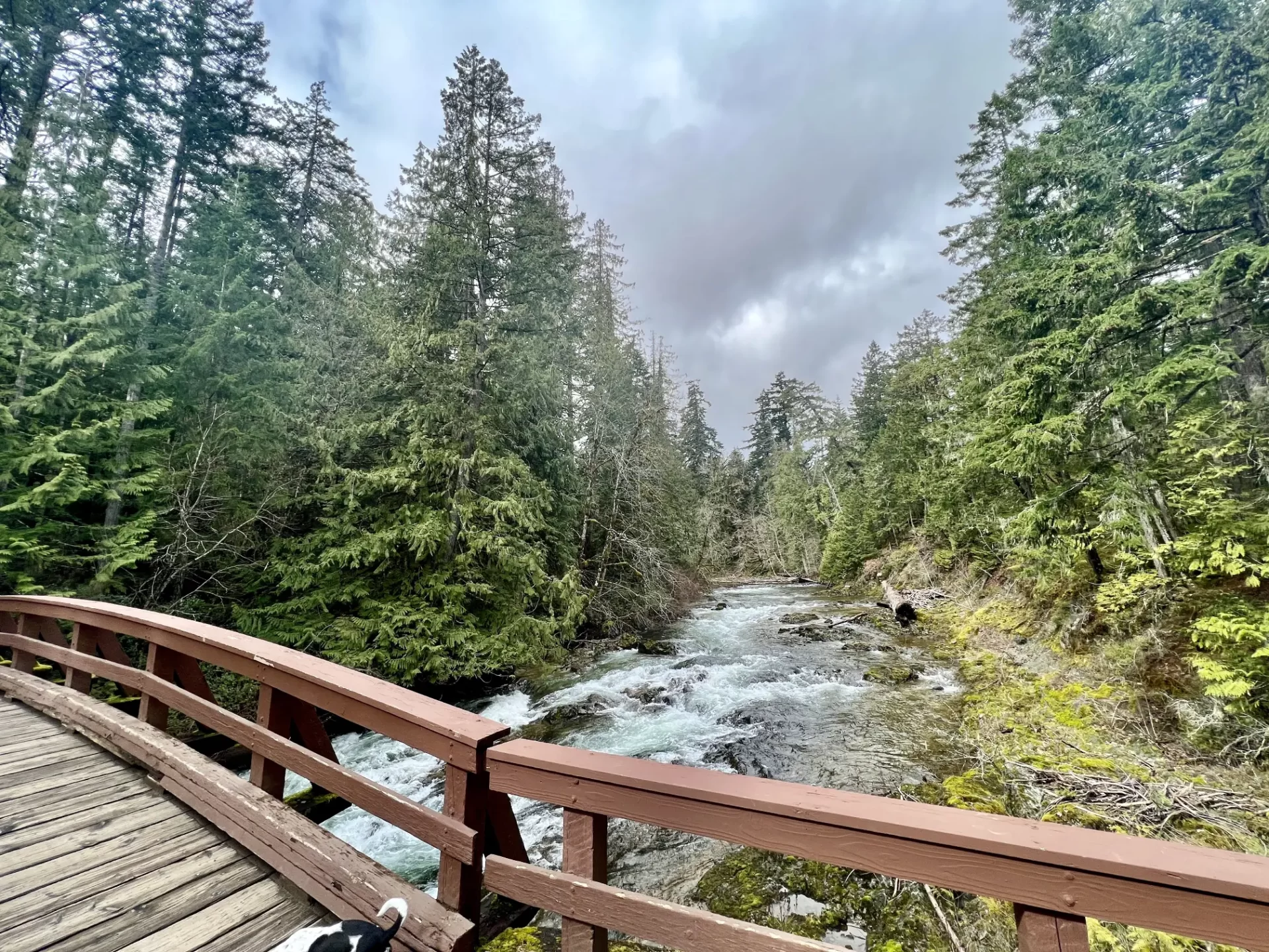 qualicum hiking tours12