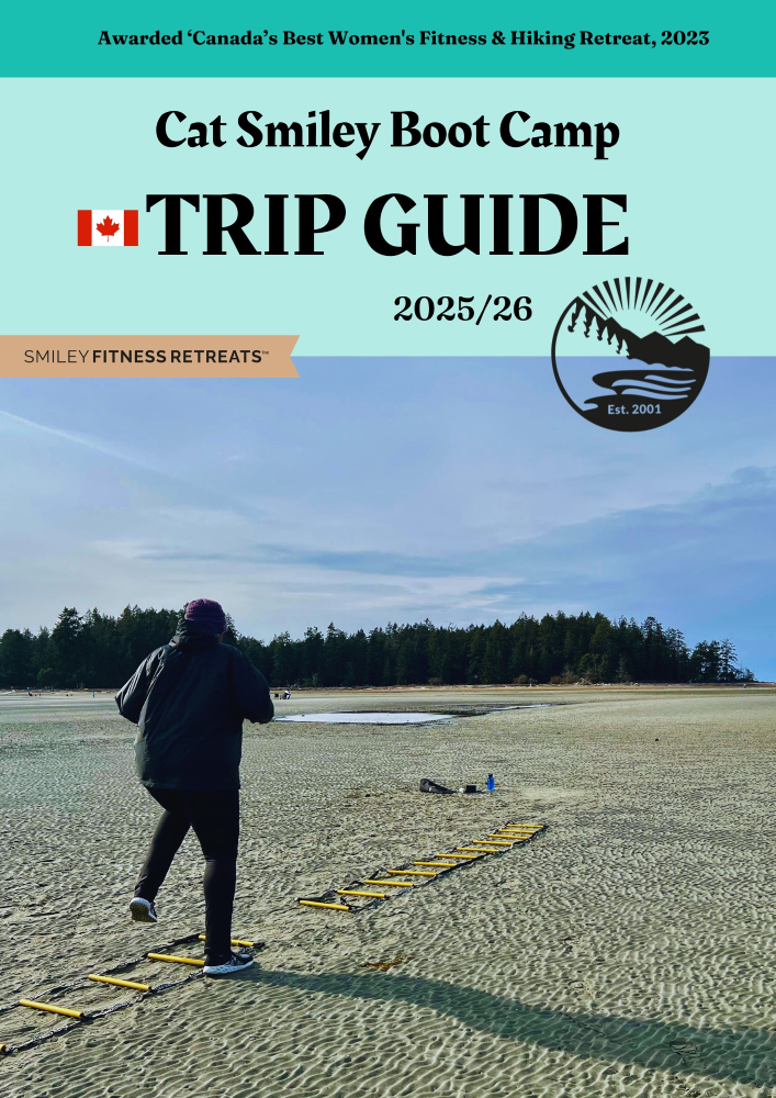 cat-smiley-boot-camp-cover